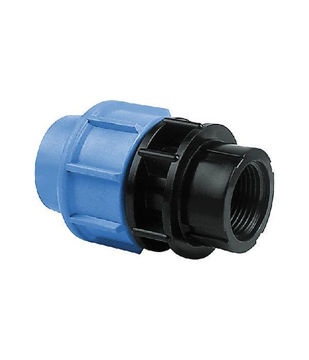 Visualizza i dettagli per Raccordo rapido femmina 63 mm x 2" PN 16 Blue seal Immagine di Raccordo rapido femmina 63 mm x 2" PN 16 Blue seal